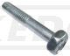 Screw for Meter Bracket