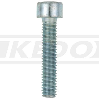 M6x30 Allen Screw 8.8, zinc-coated