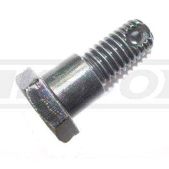 Screw for Brake Anchor Connection Rod, Front (OEM)