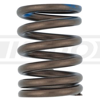 Valve Spring, Outer, 1 Piece