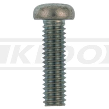 Screw for Fork Boot Clamp, 1 Piece