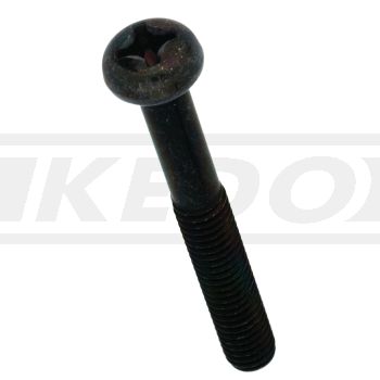 Screw, Phillips-Head, M6x45 (OEM)