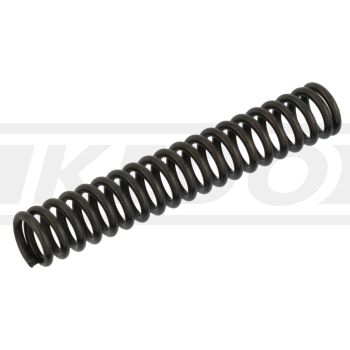 Compression Spring for Shift Cam Locking Screw (OEM)