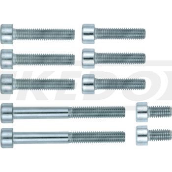 M6-Innensechskant-Schrauben-Set 8.8 Zylinder + Zylinderkopf (alle Schrauben M6 zur Befestigung von Zylinder, Zylinderkopf, Kopfdeckel, Gleitschiene)