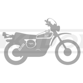 XT500'76 Sticker, stylised '76 model, silver, size approx. 185x108mm, 1 piece