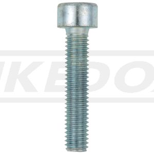 M6x30 Allen Screw 8.8, zinc-coated