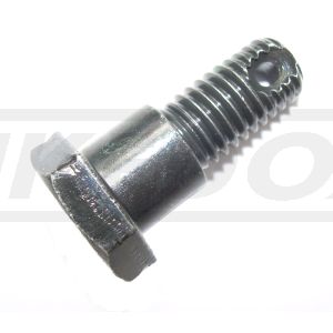 Screw for Brake Anchor Connection Rod, Front (OEM)