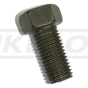 Screw, 1 Piece, (M10x1.25 x 20mm), OEM # 97011-10020, 97311-10016