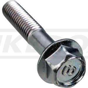 Schraube mit Bund, M8x40mm