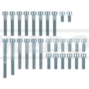 M6-Innensechskant-Schrauben-Set Motor- gehäuse (M6-Schrauben zum Zusammenbau von Kurbelgehäuse, Öllabyrinth, Ölwanne, Kabelführung, Ölleitung)