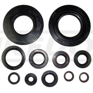 Engine Shaft Seals, Complete Kit, 11 Pcs. incl. Seal for Centrifugal Governor, OEM-Quality