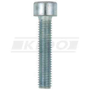 M6x30 Allen Screw 8.8, zinc-coated