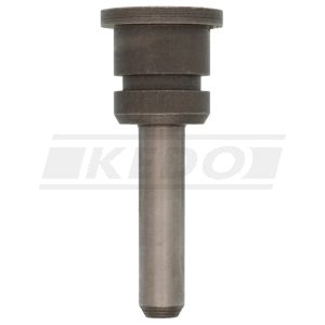 Bolt for Timing Chain Clamping Rail (Crankcase)