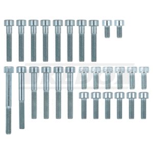 M6 Allen Screw Set 8.8 Crankcase, Contains All Screws For Crankcase, Oilsump, Oillabyrinth, Cable Guide, Oilline