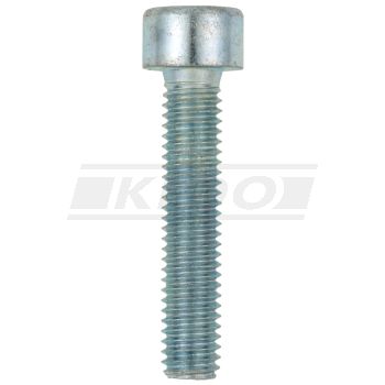 M6x30 Allen Screw 8.8, zinc-coated