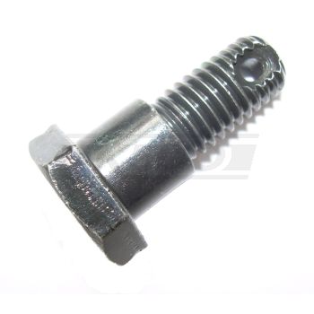 Screw for Brake Anchor Connection Rod, Front (OEM)