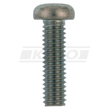 Screw for Fork Boot Clamp, 1 Piece