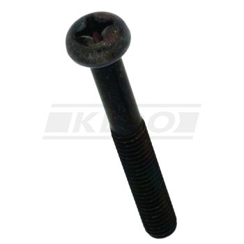 Screw, Phillips-Head, M6x45 (OEM)