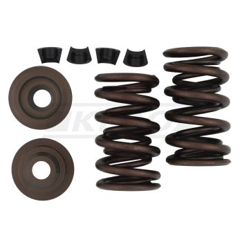 KEDO Racing Valve Springs (Steel- Tops)