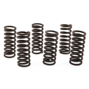 Clutch Springs 'Heavy Duty' (EBC)